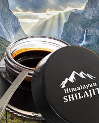 Shilajit Gold™-Resina del Himalaya