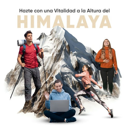 Shilajit Gold™-Resina del Himalaya