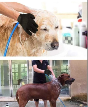 DogShower™-Ducha para perros